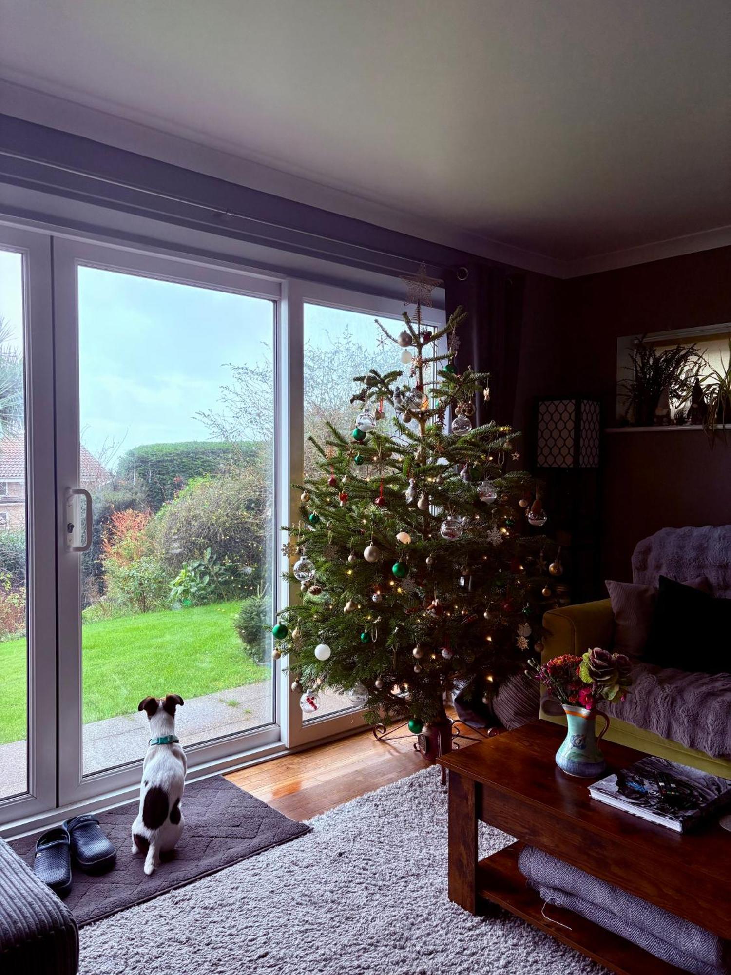 Stunning Charmouth Property With Bay Views! Exteriér fotografie